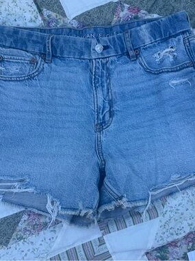 American Eagle Outfitters Strigid Curvy Relaxed Short
